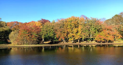  «Mt Hope Farm», reviews and photos, 250 Metacom Ave, Bristol, RI 02809, USA