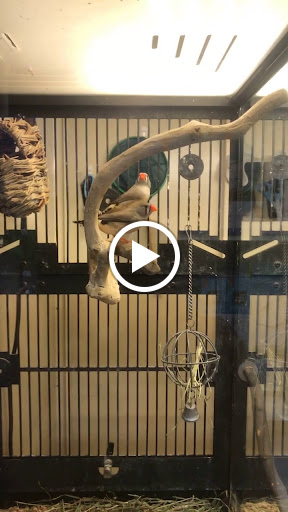 Pet Supply Store «PetSmart», reviews and photos, 5640 Cedar Lake Rd, Minneapolis, MN 55416, USA