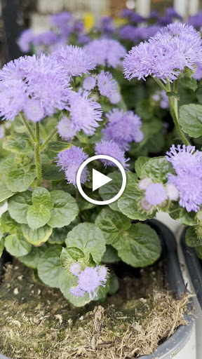 Home Improvement Store «The Home Depot», reviews and photos, 26241 Brookpark Rd, North Olmsted, OH 44070, USA