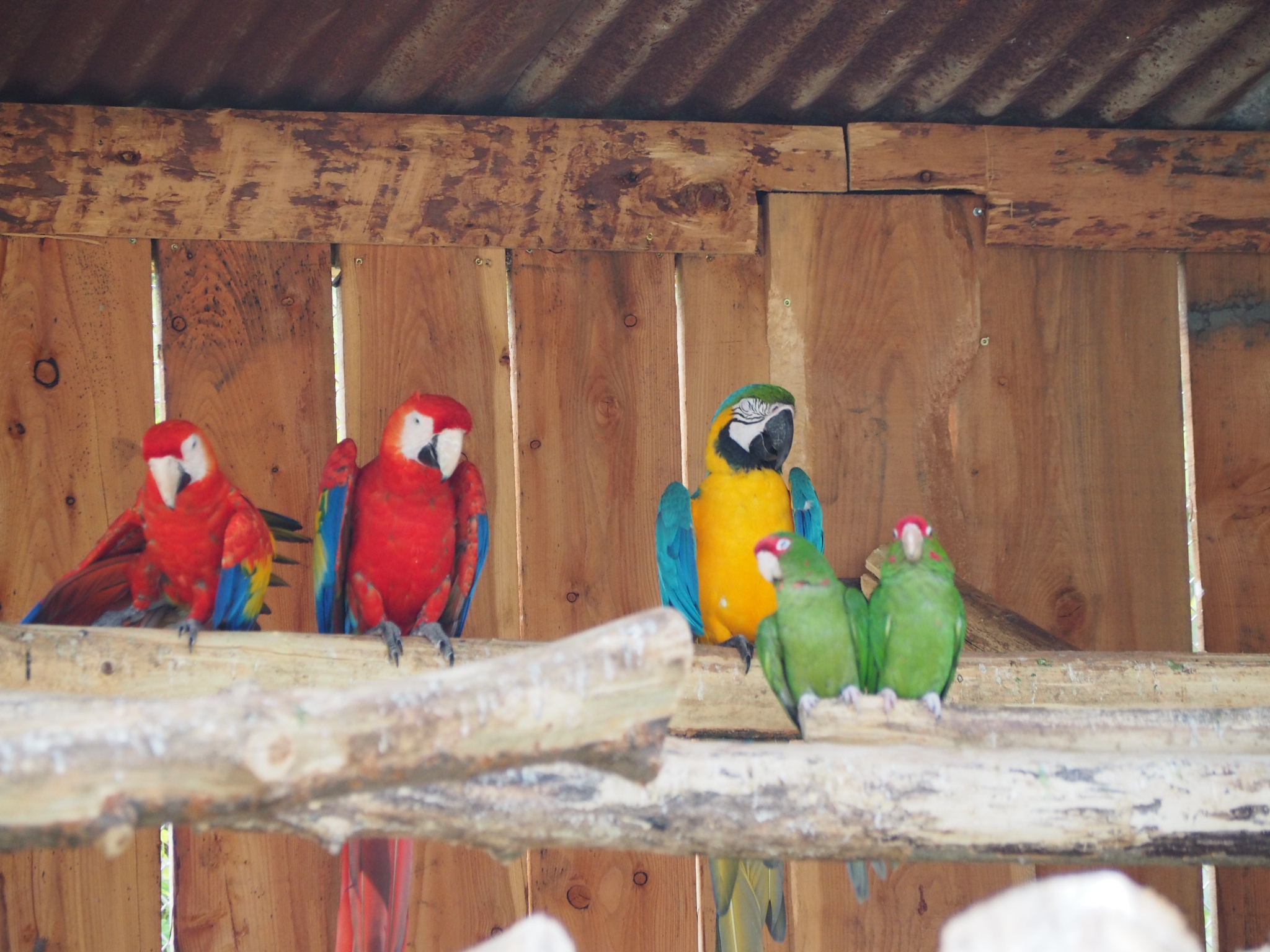 Photo n° 17 de l'avis de Carole. fait le 22/08/2022 à 21:38