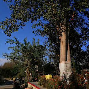 Baabe Di Kuttiya Bus Stop photo