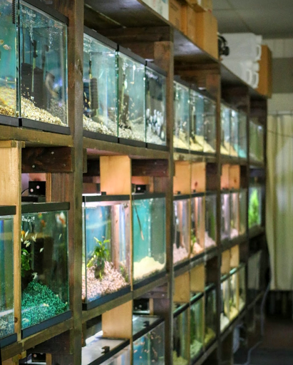 Tropical Fish Store «Nature Aquarium», reviews and photos, 2836 Santa Monica Blvd, Santa Monica, CA 90404, USA