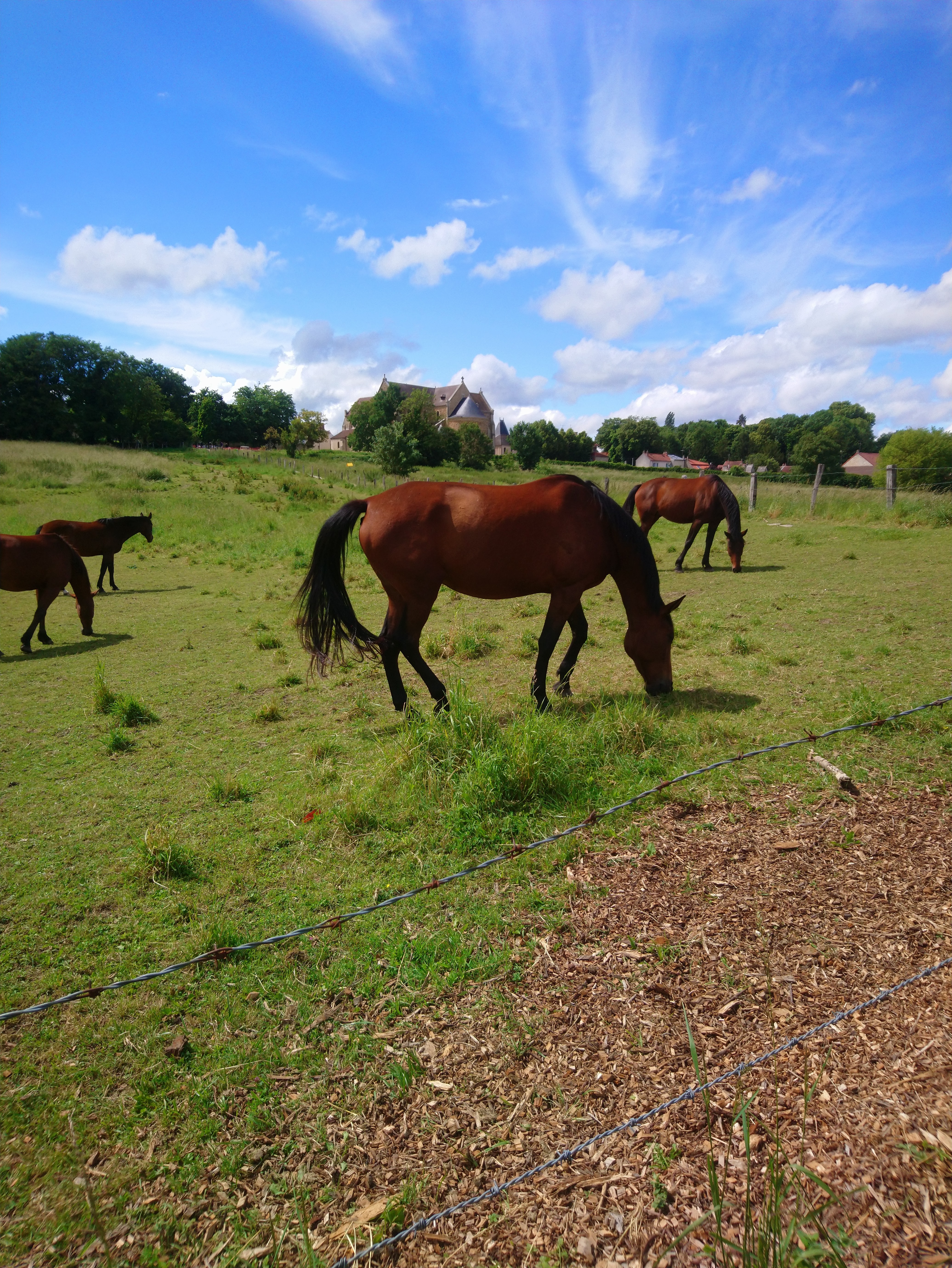 Photo n° 16 de l'avis de Lucien.e fait le 10/06/2019 à 14:26