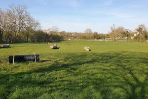 HoundaboutMK - Enclosed Dog Exercise Field image