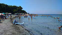 Spiaggia di Lido Torre'in fotoğrafı - rahatlamayı sevenler arasında popüler bir yer