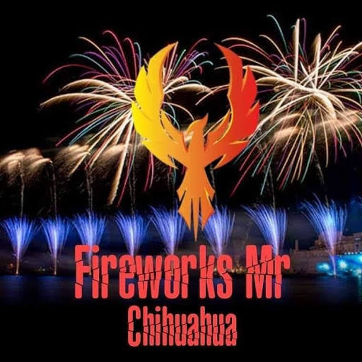 Fireworks Mr Chihuahua