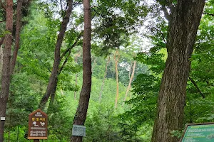 Yongin Nature Recreation Forest image