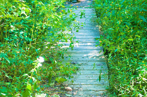 Nature Preserve «Kokiwanee Nature Preserve», reviews and photos, 5825 E 50 S, Lagro, IN 46941, USA