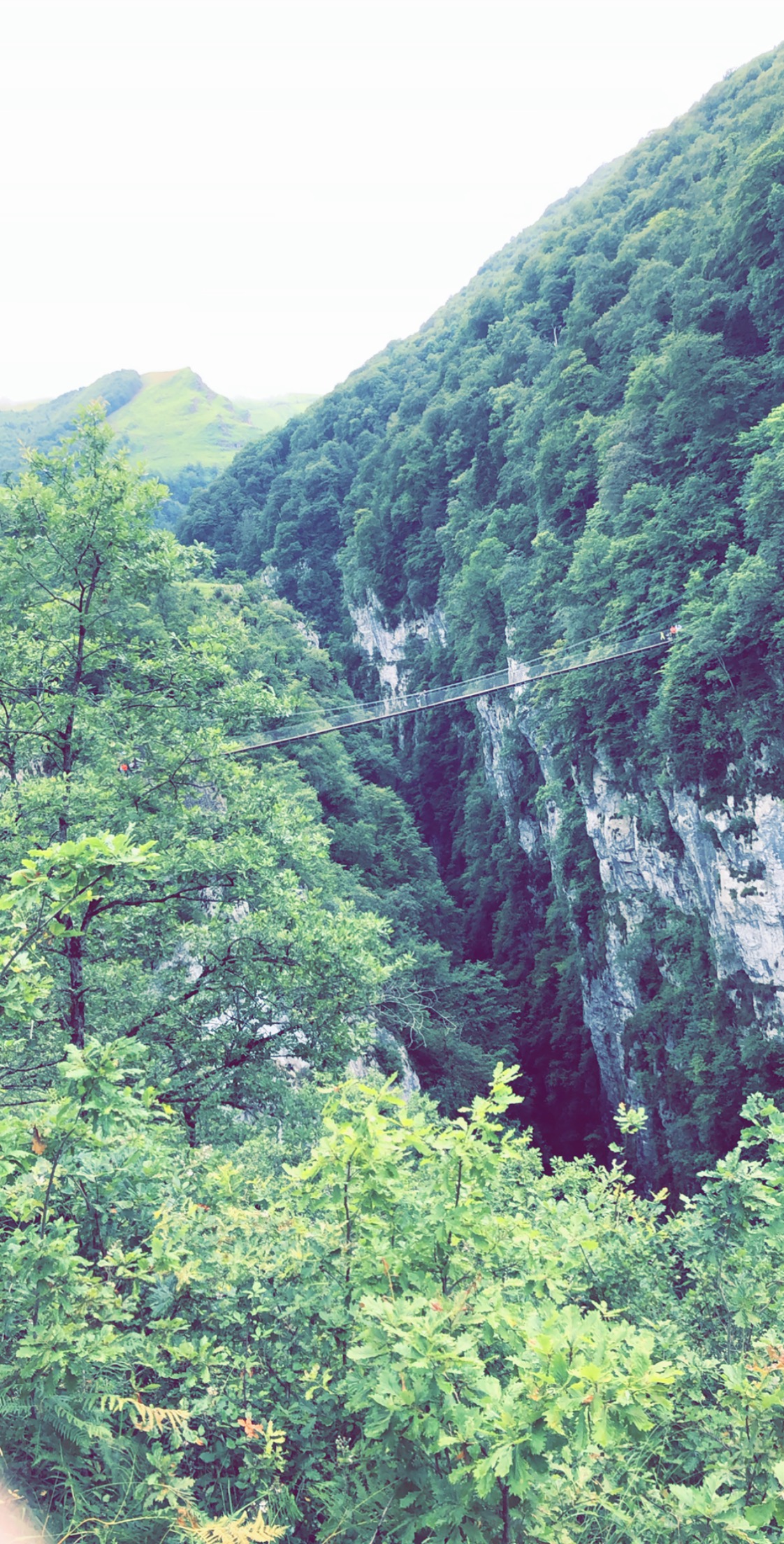 Photo n° 1 de l'avis de GAEL.L fait le 15/07/2020 à 21:31
