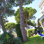 Photo n°1 de l'avis de Stefania.a fait le 07/06/2021 à 11:45 sur le  Hotel Medusa Splendid à Lignano Sabbiadoro