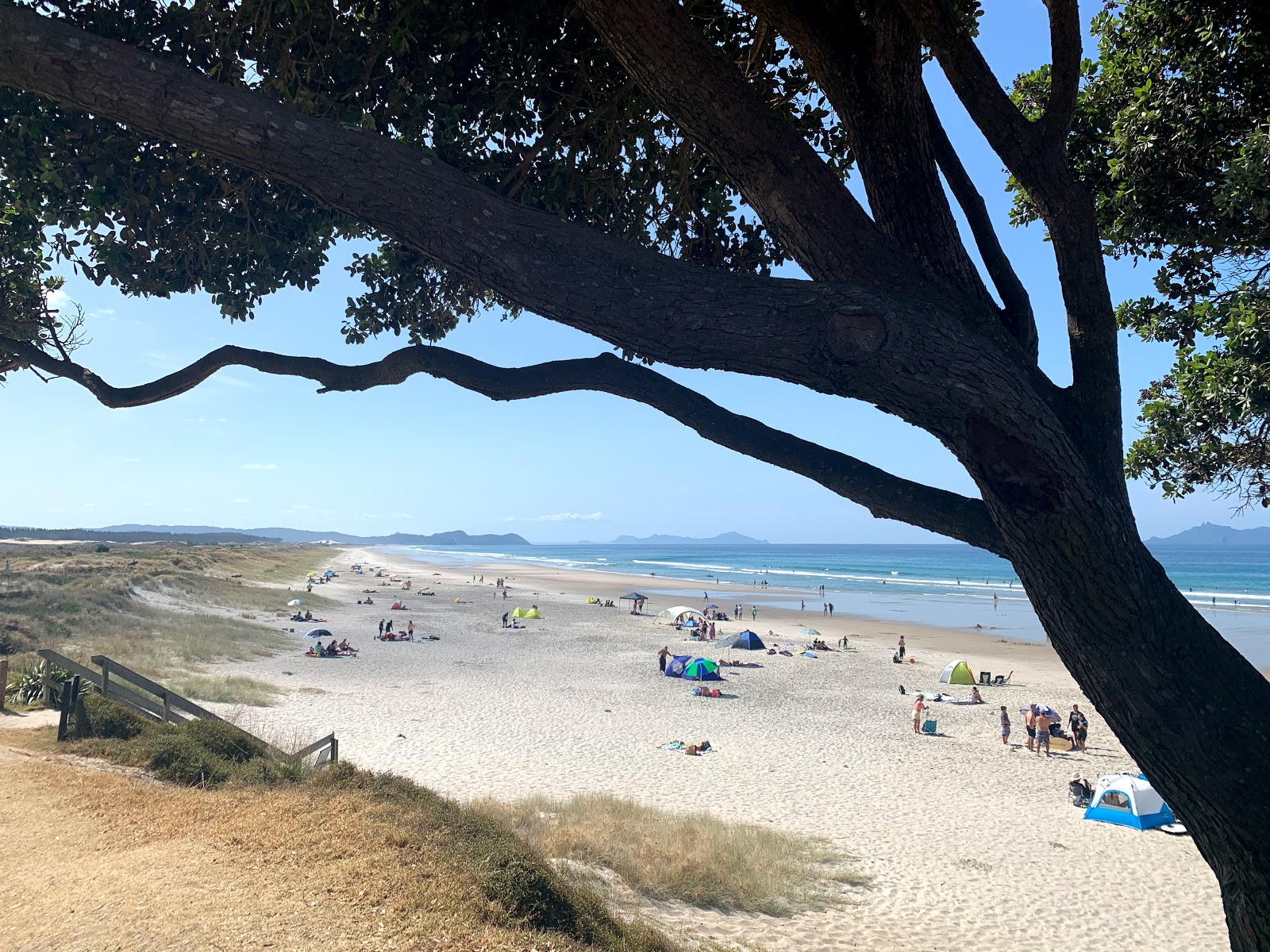 Foto di Te Arai Beach con costa lunga e dritta