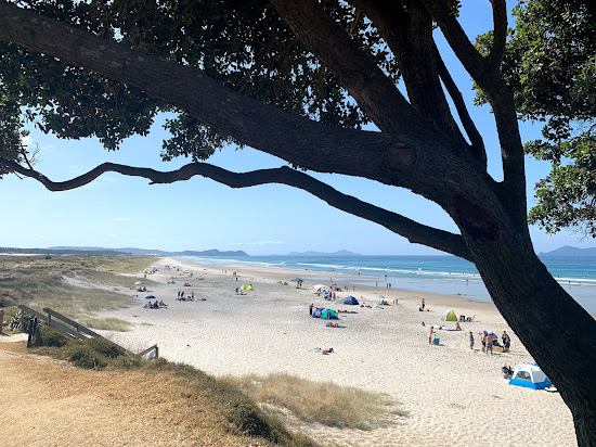 Te Arai Beach