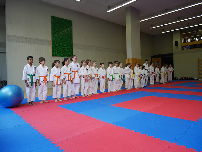 Ippon Karate Club Tivoli - Geneva - Fitnessstudio