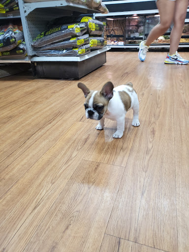 Pet Store «Petland», reviews and photos, 1600 Turner McCall Blvd, Rome, GA 30161, USA