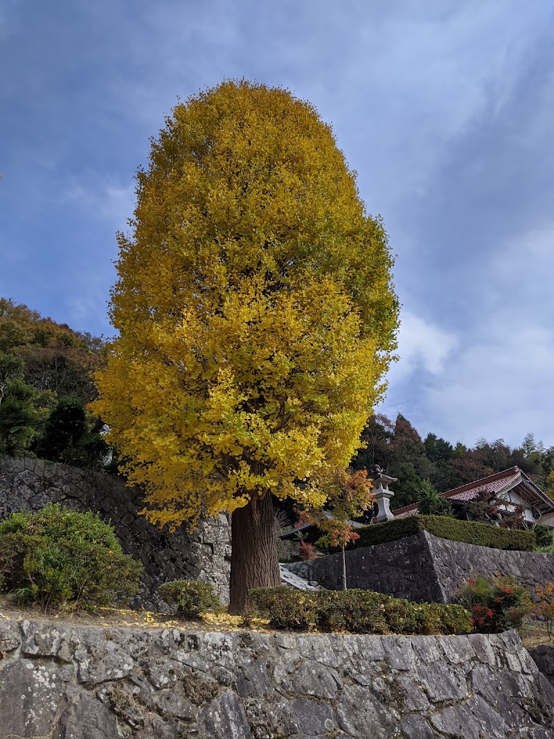 蔭凉寺