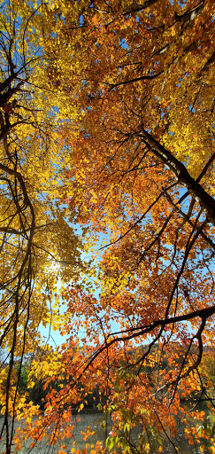 Park «Friends of Van Cortlandt Park», reviews and photos, 80 Van Cortlandt Park S, Bronx, NY 10463, USA