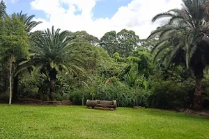Parque Anhanguera image