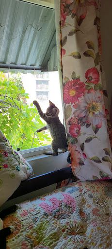 K Discount Store, 8029 Eastern Ave, Bell Gardens, CA 90201, USA, 