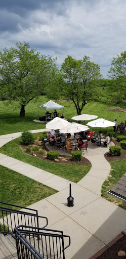 Winery «Wild Sun Winery», reviews and photos, 4830 Pioneer Rd, Hillsboro, MO 63050, USA