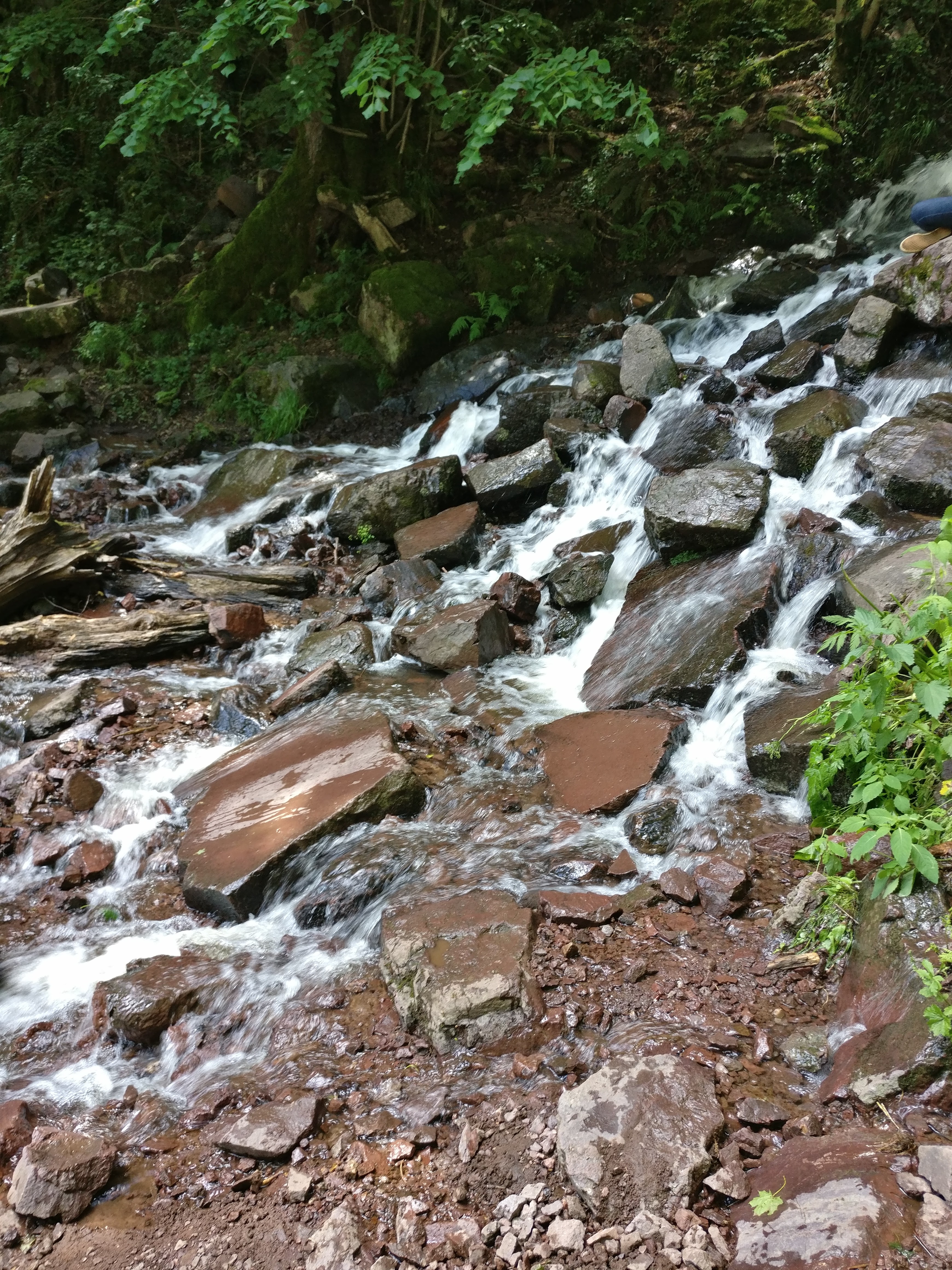 Photo n° 2 de l'avis de Garry.t fait le 05/06/2017 à 10:12