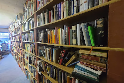 Blue Moon Books