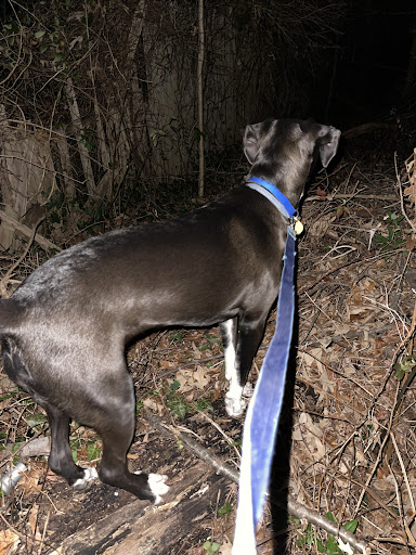 Pet Supply Store «PetSmart», reviews and photos, 7225 Bell Creek Rd Ste 228, Mechanicsville, VA 23111, USA