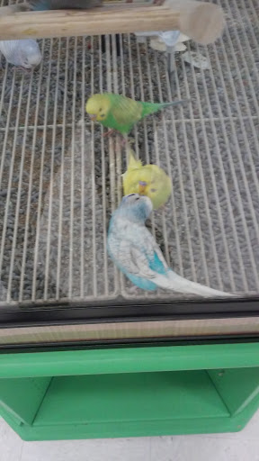 Pet Supply Store «Petco Animal Supplies», reviews and photos, 6425 Keizer Station Blvd, Keizer, OR 97303, USA