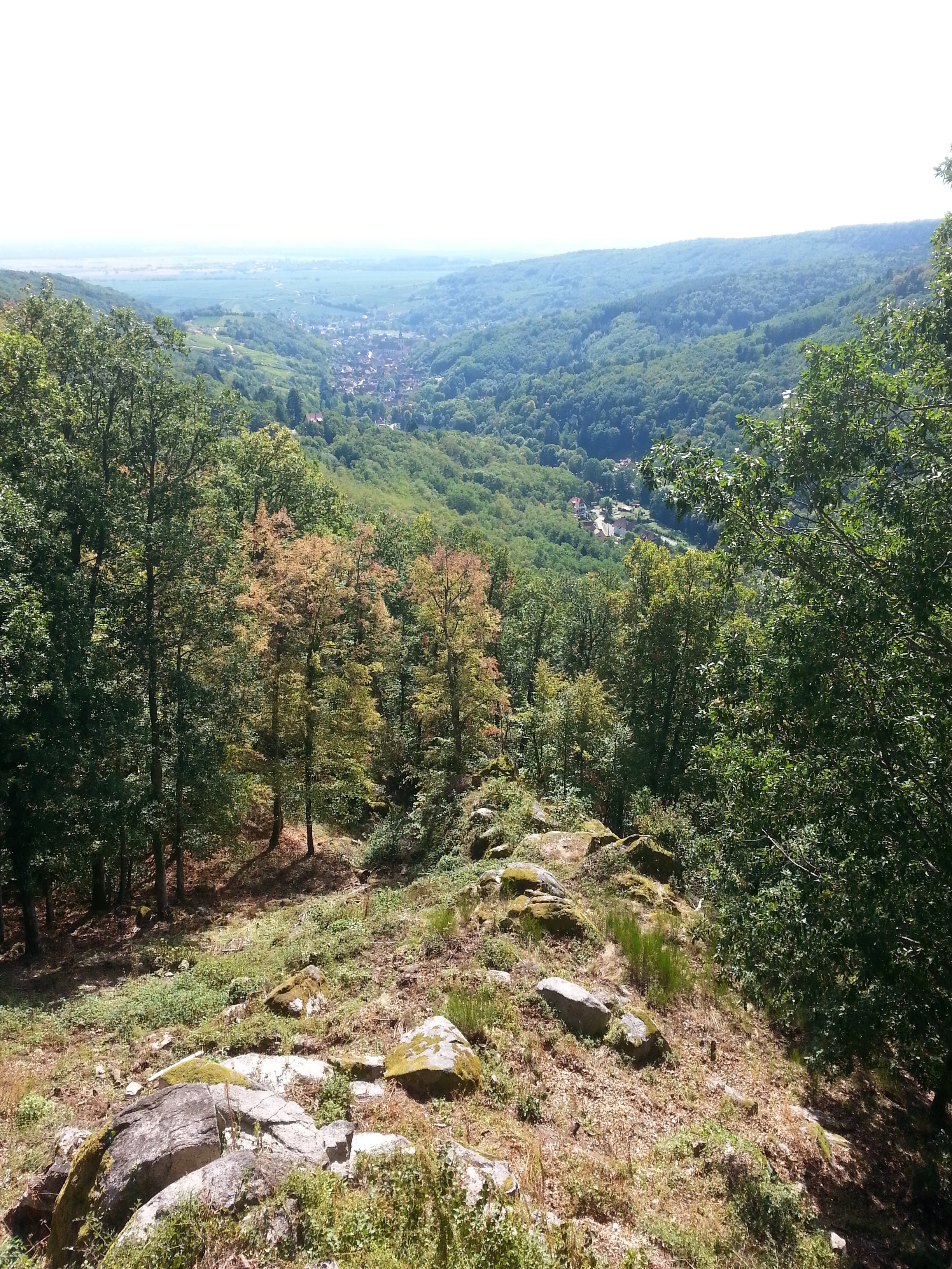 Photo n° 7 de l'avis de Eric.o fait le 13/09/2018 à 17:35