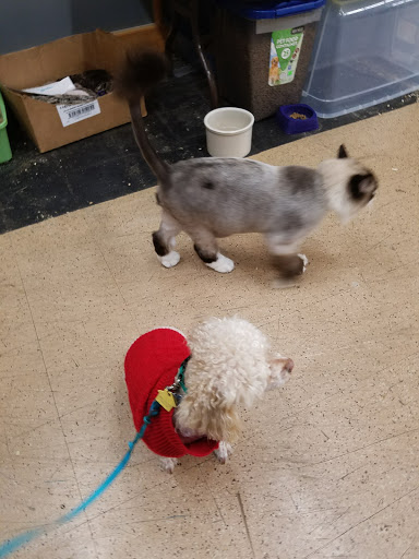 Pet Store «A to Z Pets», reviews and photos, 16010 SE Division St, Portland, OR 97236, USA