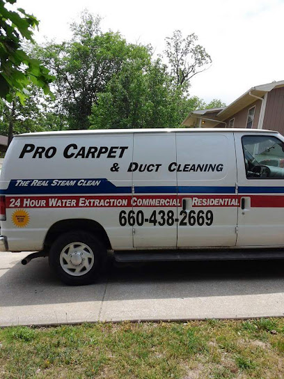 Pro Carpet & Air Duct Cleaning