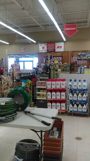 Hardware Store «Ace Hardware at Buckley Square», reviews and photos, 17190 E Iliff Ave, Aurora, CO 80013, USA