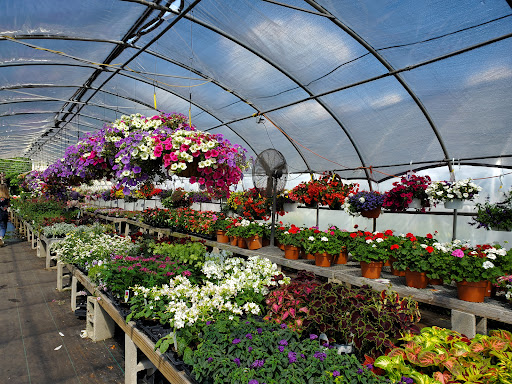 Farm «Dreyer Farms», reviews and photos, 831 Springfield Ave, Cranford, NJ 07016, USA