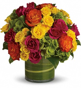 Florist «Xpressions Florist», reviews and photos, 14373 Blanco Rd, San Antonio, TX 78216, USA