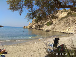 Mikra Bay'in fotoğrafı vahşi alan