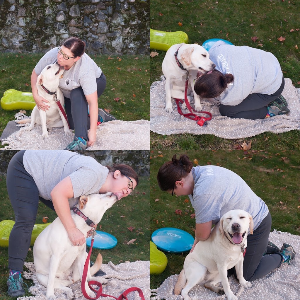 Iron Paws Therapeutic Massage 03038