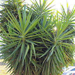 Photo n°41 de l'avis de DAVID. fait le 30/09/2022 à 22:12 sur le  Hotel Villa D'Amato à Palermo