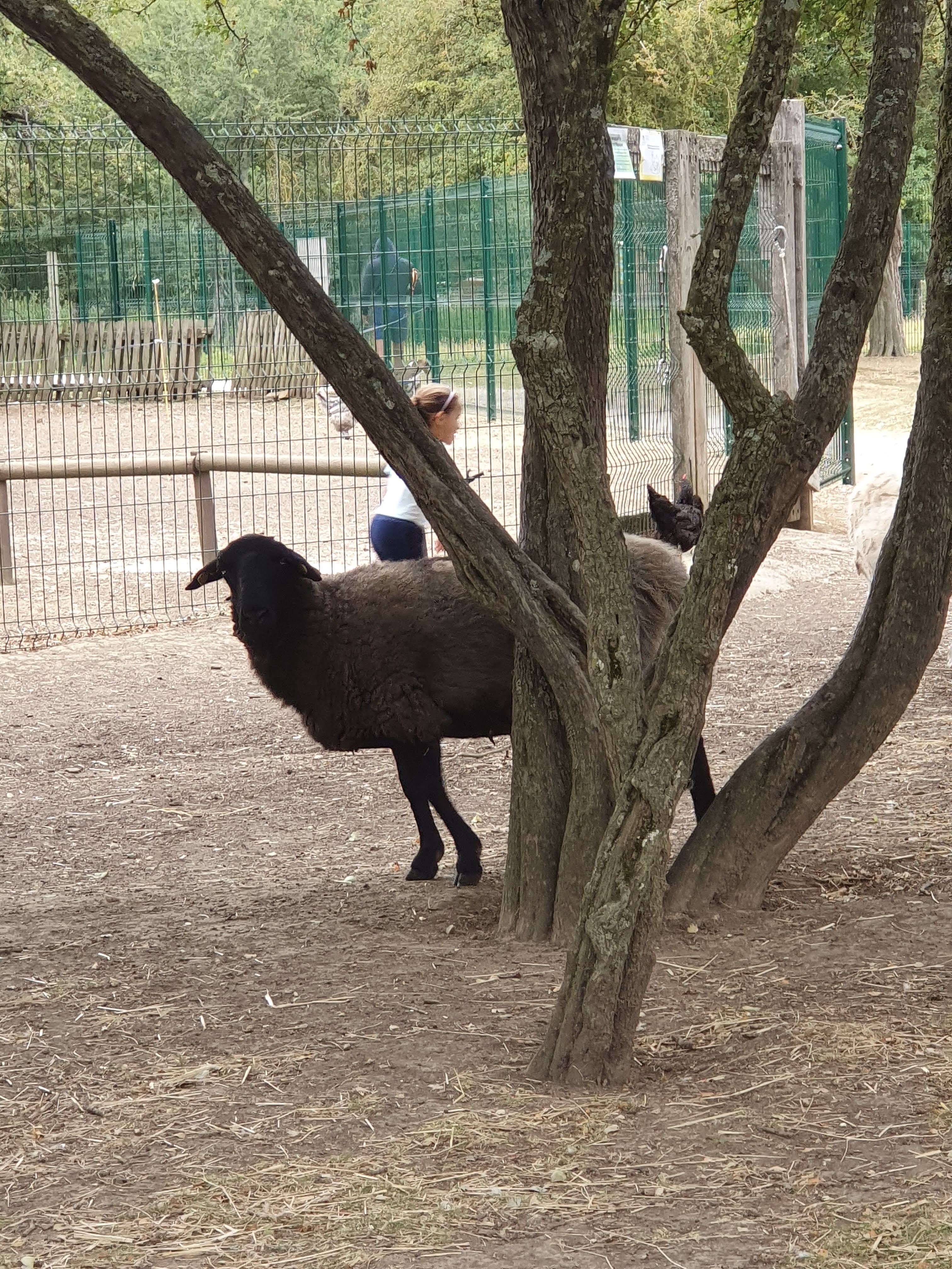 Photo n° 10 de l'avis de Liliane.o fait le 17/08/2019 à 10:37