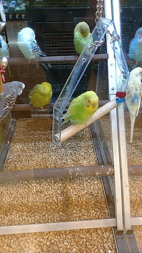 Pet Supply Store «PetSmart», reviews and photos, 131 Town Center Rd, King of Prussia, PA 19406, USA