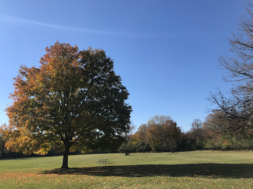 Nature Preserve «Schiller Woods East», reviews and photos, W Irving Park Rd, Chicago, IL 60634, USA