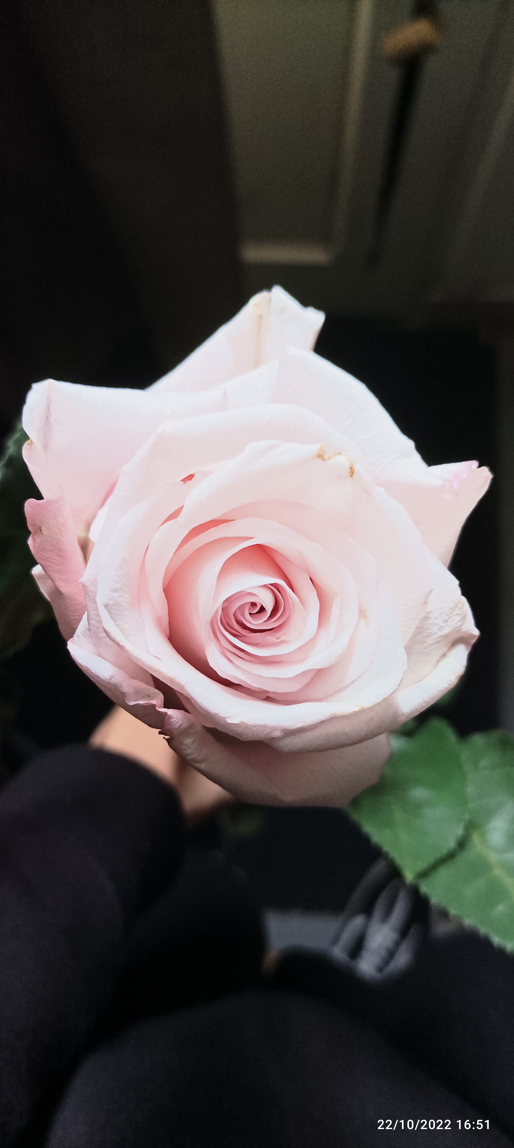 Photo n° 2 de l'avis de Valentin.a fait le 21/11/2022 à 21:29