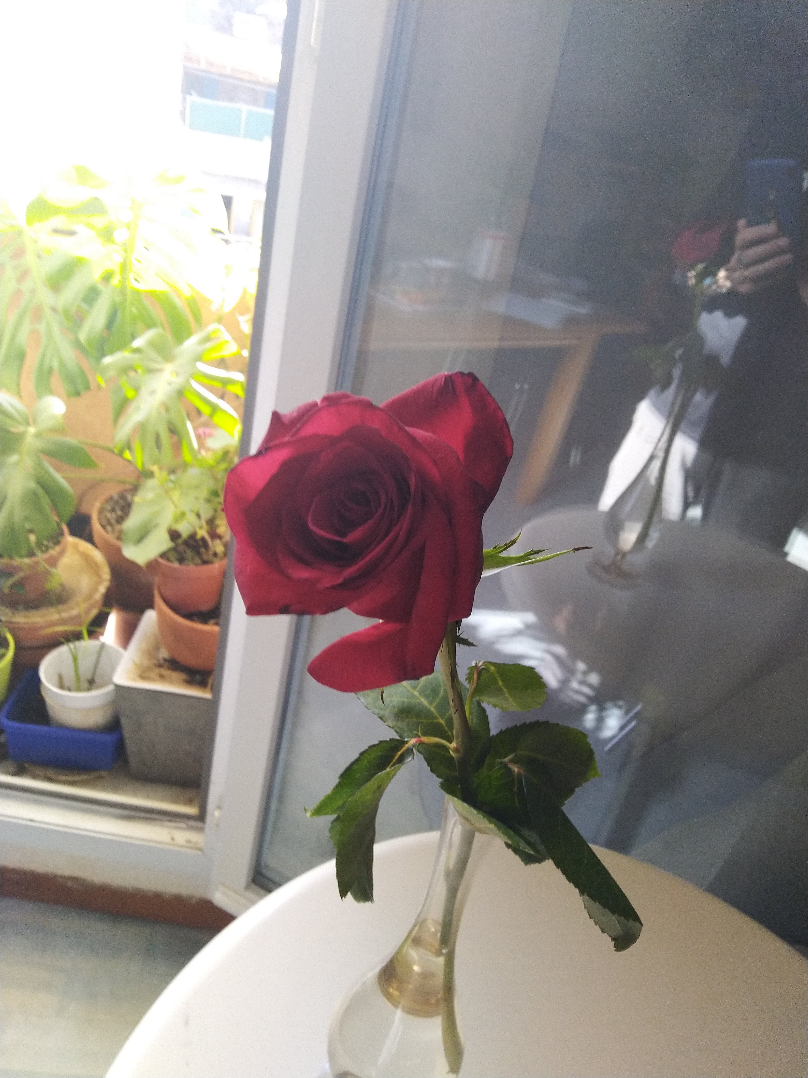 Photo n° 1 de l'avis de fabrice.e fait le 15/02/2020 à 14:38