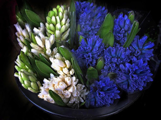 Florist «Mayfield Floral Inc.», reviews and photos, 6109 Mayfield Rd, Mayfield Heights, OH 44124, USA