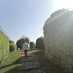 Photo n°2 de l'avis de Pasquale.a fait le 03/06/2022 à 07:48 sur le  Masseria Grande à Montecilfone