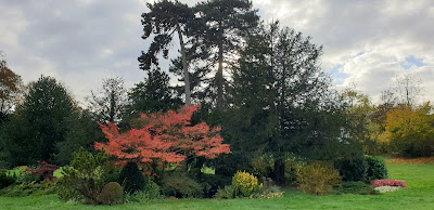 CLINEA Clinique Du Château De Garches à Garches