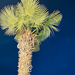 Photo n°1 de l'avis de Juergen.. fait le 23/07/2023 à 08:47 sur le  Ristorante Sotoriva à Punta Sabbioni