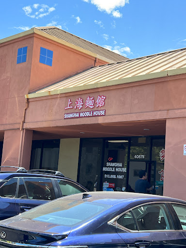 Shanghai Noodle House image
