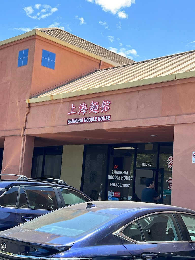 Shanghai Noodle House 94538