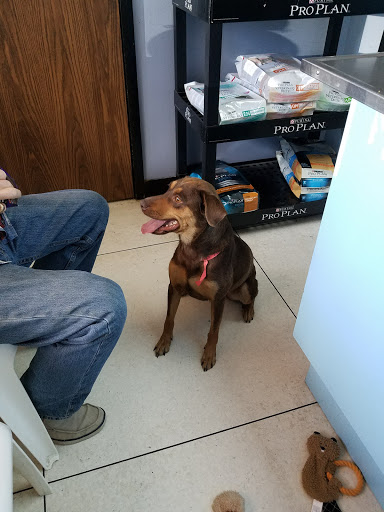 9809 Stella Link Rd, Houston, TX 77025, USA