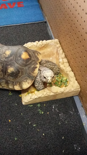 Pet Store «Aqua World», reviews and photos, 301 Duncomb St, Oil City, PA 16301, USA