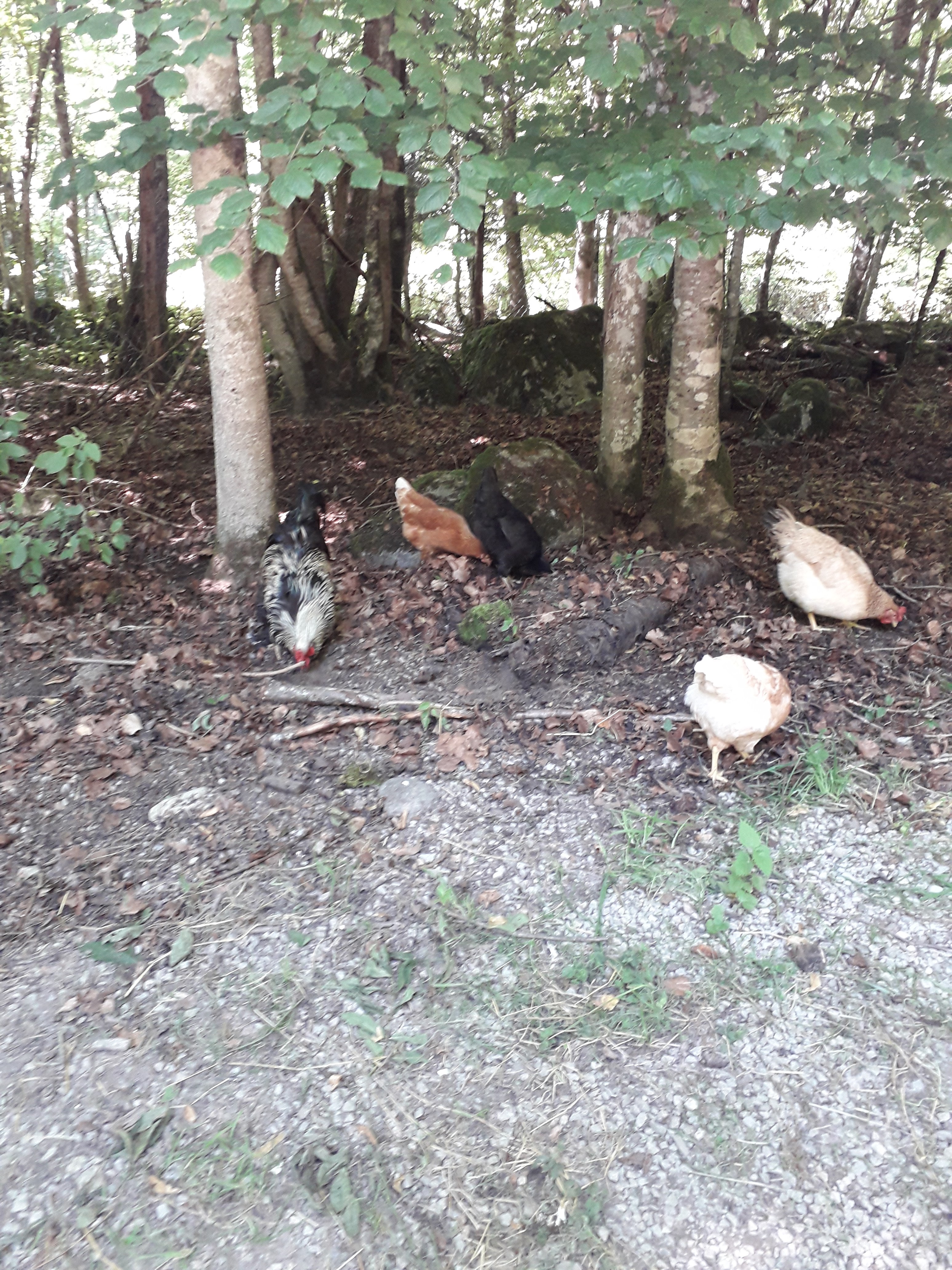 Photo n° 15 de l'avis de Franck.i fait le 19/07/2020 à 15:45
